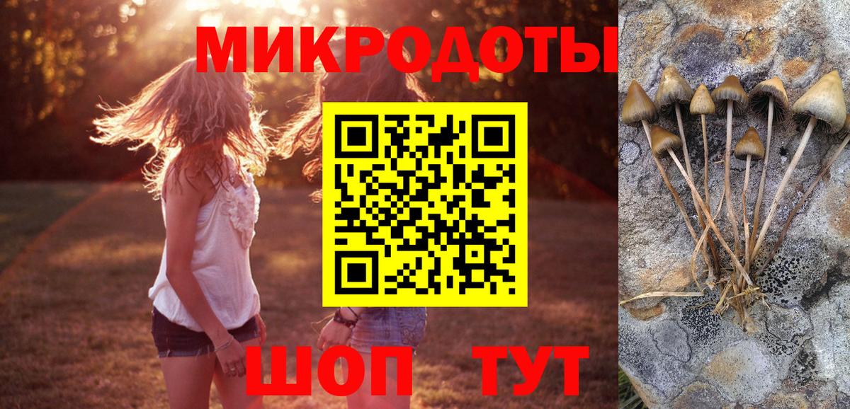 Галлюциногенные грибы Cubensis Минусинск